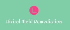 Airisol Mold Remediation – Mold Remediation Service